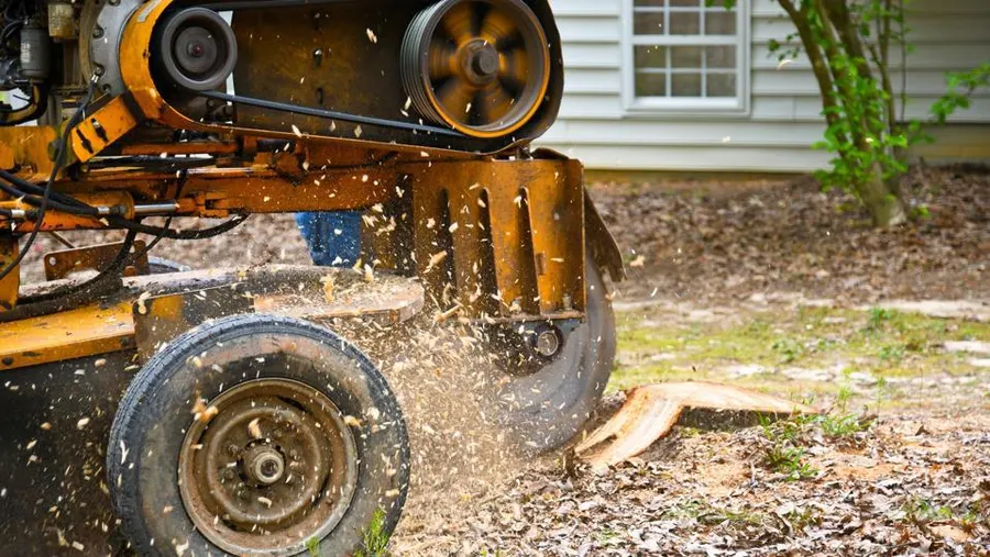 Concrete Overlay vs. Cement Overlay Patios: Which One’s Right for You?